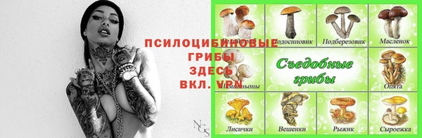 ALPHA-PVP Богородицк