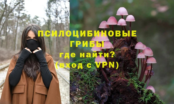 скорость Арсеньев