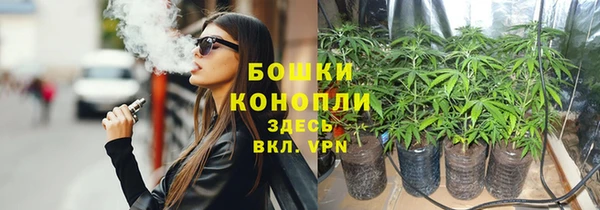 гидра Алзамай