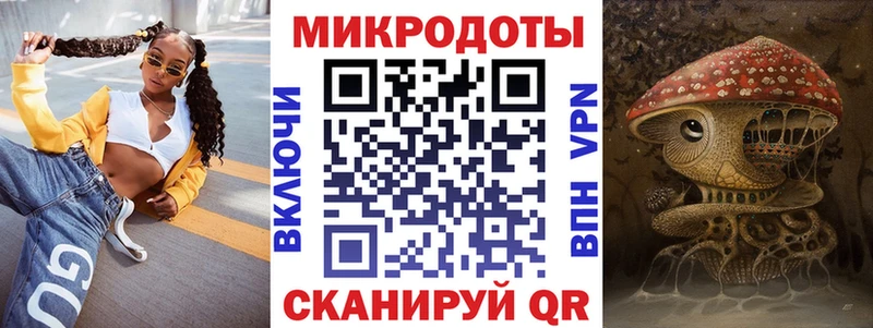 где можно купить наркотик  Кологрив  Галлюциногенные грибы Psilocybe 